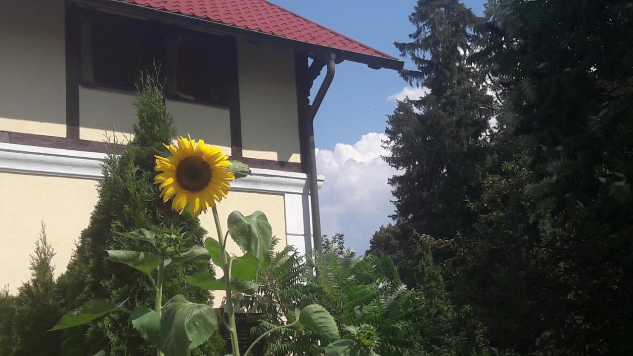 Penzion Pod Orechom Turcianske Teplice Bagian luar foto