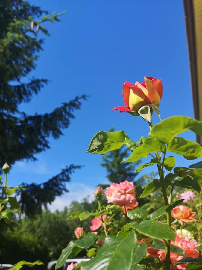 Penzion Pod Orechom Turcianske Teplice Bagian luar foto